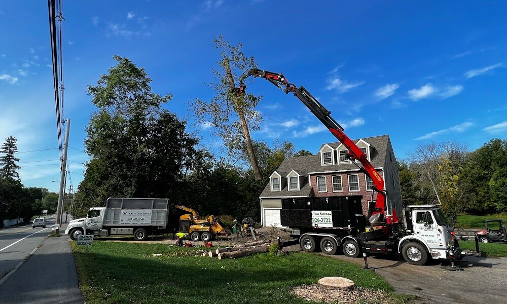 Doug’s Tree Service