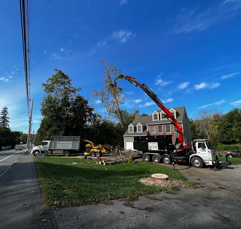 Doug’s Tree Service